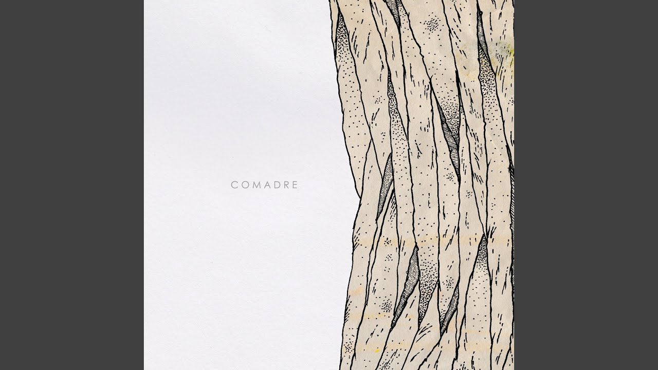 Watch Tigers on YouTube Watch Tigers on YouTube