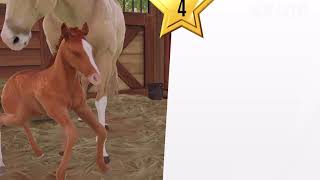 Rival Stars Horse Breeding