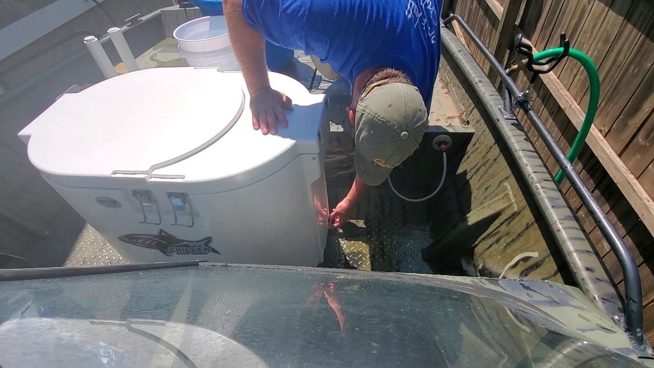 Chiller bait tank water change. YouTube