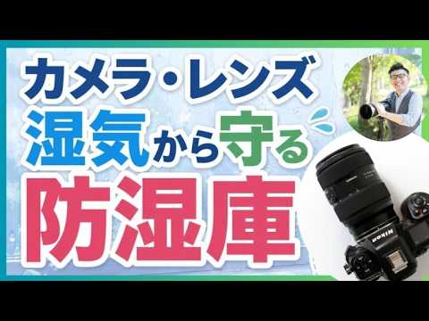 Storing Cameras and Lenses During Rainy Season: Why a Dry Cabinet