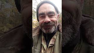 За маслятами + посылка. 14 октября 2025 года