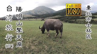20201026_C 臺北陽明山擎天崗(日)_台灣旅行 (Yangmingshan Qingtiangang Daytime Taiwan Travel)