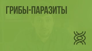 Грибы-паразиты. Видеоурок по биологии 5 класс