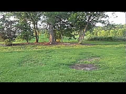 Neil vs 1lb explosive target