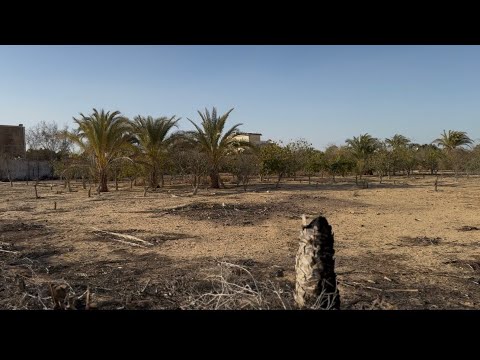 فدان داخل الريف الاوروبي ك58ط مصر اسكندريه الصحراوي اول نقطة في منطقة ريجوا موقع مميز سعر ممتاز 