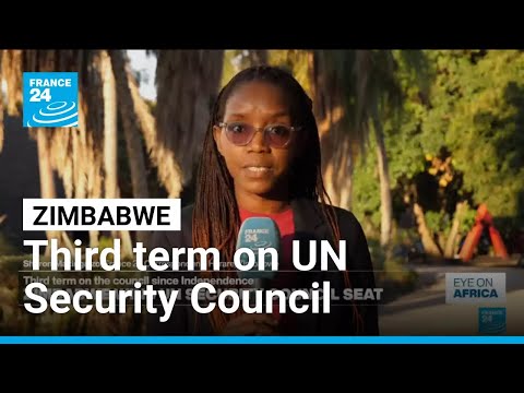 Zimbabwe elected to UN Security Council • FRANCE 24 English