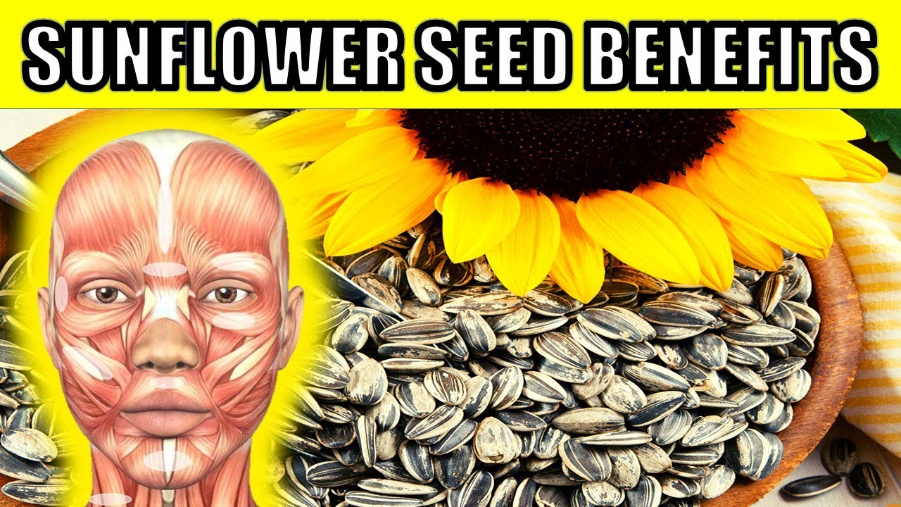9 Amazing Health Benefit of Sunflower Seeds You Should Know! YouTube
