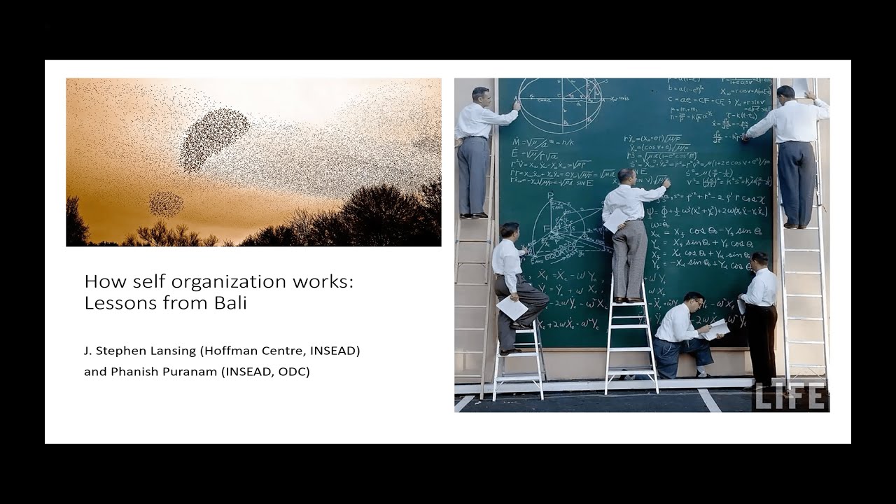 How Self Organization Works Lessons From Bali Phanish Puranam And Stephan Lansing Youtube