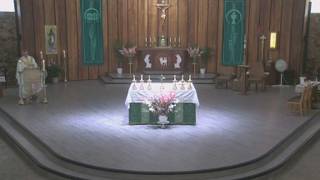 Santa Misa Diaria (en español)