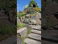 Soft Green Vibes 🍃 Calm Nature Shorts #walknova #asmr #nature #travel #calm #garden #calm #walking