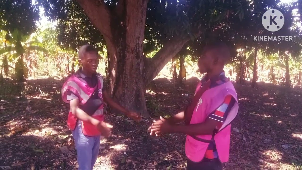 timoun hooooo timoun setibè