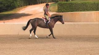 John French How To Ride A Hunters Under Saddle Class