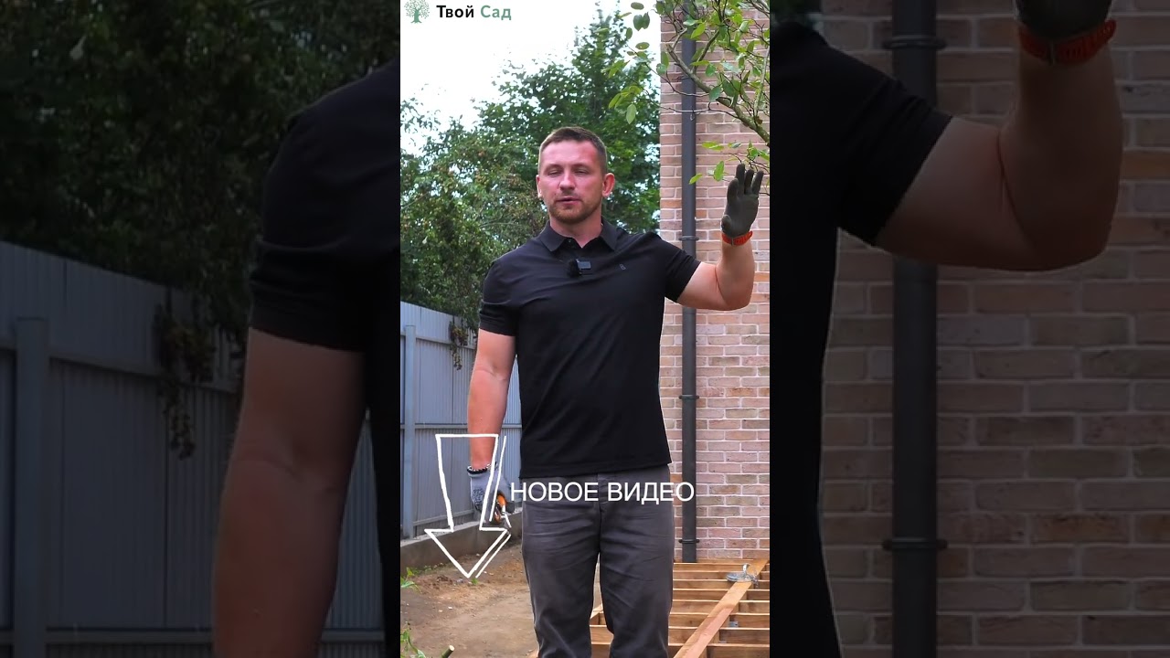 Почему ирга это акцентное дерево? #ландшафтныйдизайн #shorts