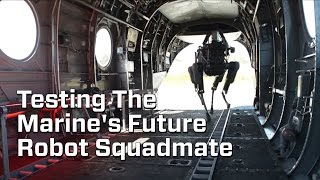 Marine’s Test Out Their Robot “Dog”