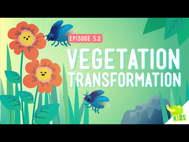 Science - Photosynthesis: Vegetation Transformation