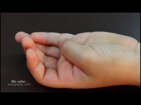الطريقة الصحيحة للتسبيح للشيخ فركوس الجزائري
