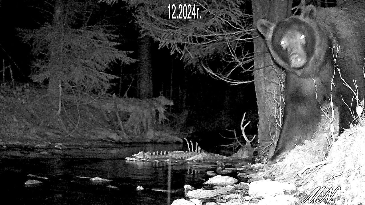 Wiedziałem, że jak znajdzie to zabierze wszystko.