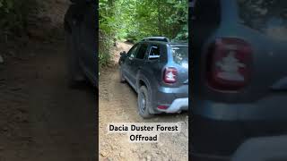 Dacia Duster 4x4 Forest Offroad #daciaduster