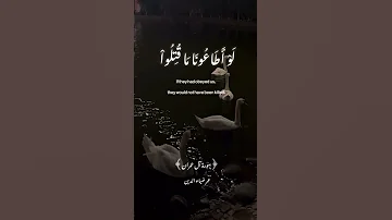 سورة آل عمران القارئ عمر ضياء الدين Quran Quranrecitation قرآن قران كريم 