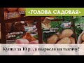 Голова садовая - Купил за 10 р. , а выросло на тысячу!