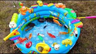 Catch pufferfish and shellfish, eel, ornamental fish, sea fish, crab, hermit crab, lobster, starfish