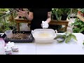 Ompotting av Phalaenopsis orkideer