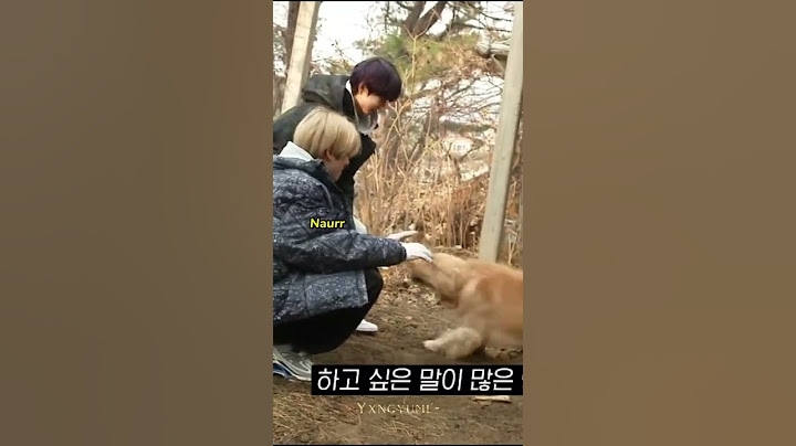 [enhypen] jake, i don't think the dog understand ‘naur’