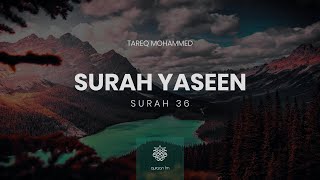 Surah Yaseen | #Qari_Tareq_Mohammed | سورة يس | القارئ طارق محمد