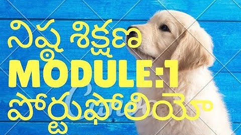 NISHTHA MODULE : 1 with Portfolio Model