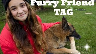 Furry Friend Tag Meet Kraft