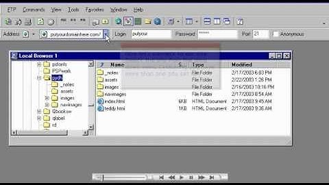 How to Manage Files in SmartFTP - Host Department LLC