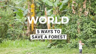 5 Ways to Save a Forest