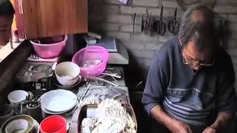 SIPA Application Video of YI LU