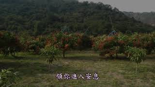 讚美詩_354 只要信祂