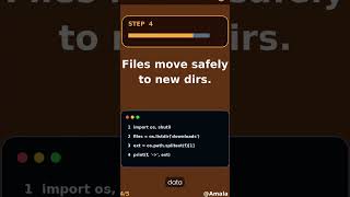 Move Files by Extension Safely in Python