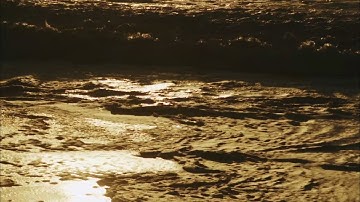 Schvédranne, Jack Hirschman Ft. Robert Spline - The Endless Threshold Arcane