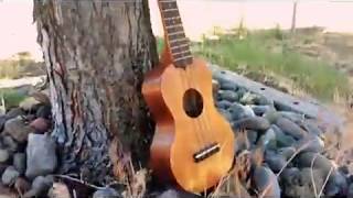 Daisies ~ Original Song screenshot 3