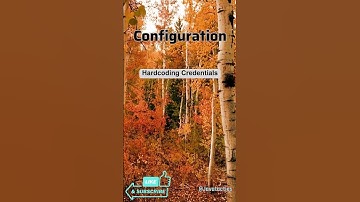 Java Backend Developer# 1