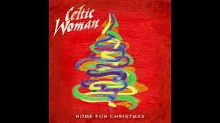 Hark! The Herald Angels Sing [ Instrumental ] - live at the Helix Theatre in Dublin, Ireland