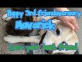 Happy early 3rd  friendaversary maverick #mavmav #bestfriend 