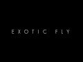 Exotic fly
