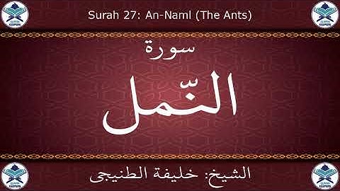 القرآن الكريم بصوت خليفة الطنيجي - سورة النمل
