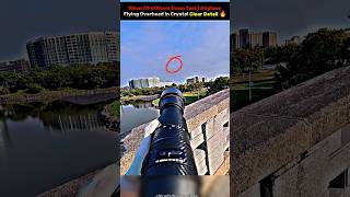 ✈️ Shot on Nikon Z9 + 600mm Telephoto Lens | Ground to Sky Airplane Tracking in Ultra HD 🔥📸 #Shorts