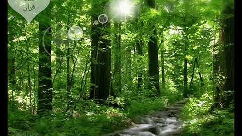 سورة التحريم كاملة بصوت القارئ سعيد بن عبدالله الخطيب