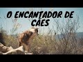 O encantador de Cães - A Cadela enfurecida