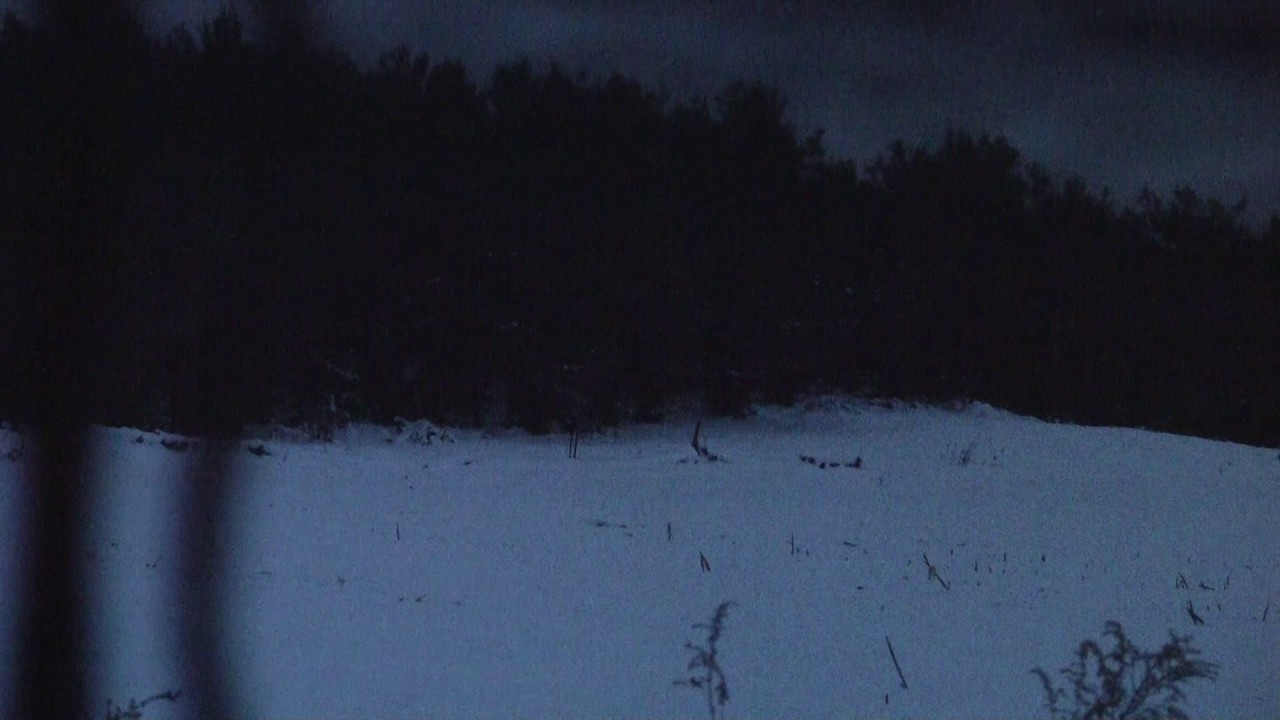 Southern Michigan Late Doe Season TC 357 Maximum YouTube southern-michigan-late-doe-season-tc-357-maximum-youtube