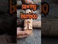 sawing wood on bamboo #firemaking  #primitivefire #bushcraft #survival