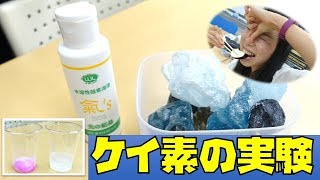 玉ねぎとナスにケイ素を入れると味が変わる！？水溶性珪素溶液氣'sの不思議な力