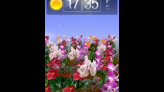 Orchids Live Wallpaper screenshot 1