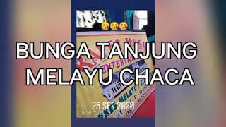 Video thumbnail of "BUNGA TANJUNG KARAOKE"